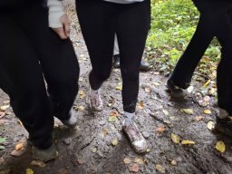 566250485128240729702054960828360927125075n